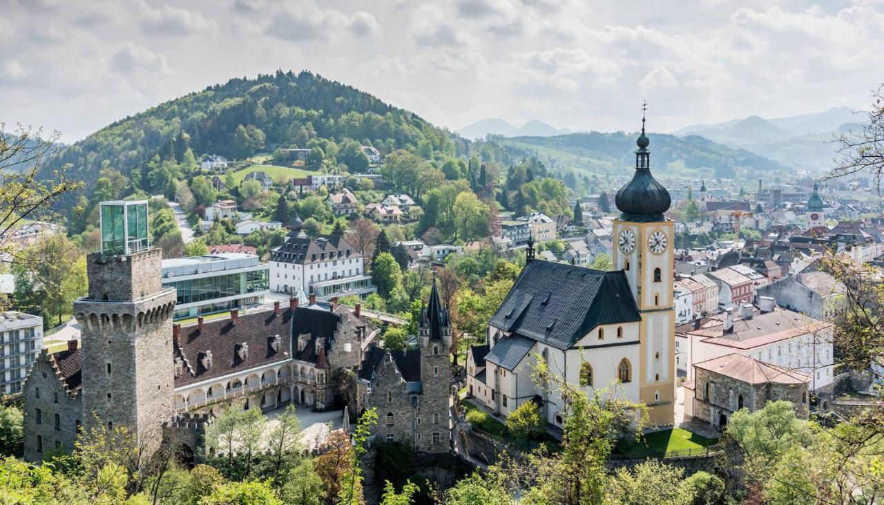 Das Schloss An Der Eisenstrasse Waidhofen an der Ybbs Εξωτερικό φωτογραφία