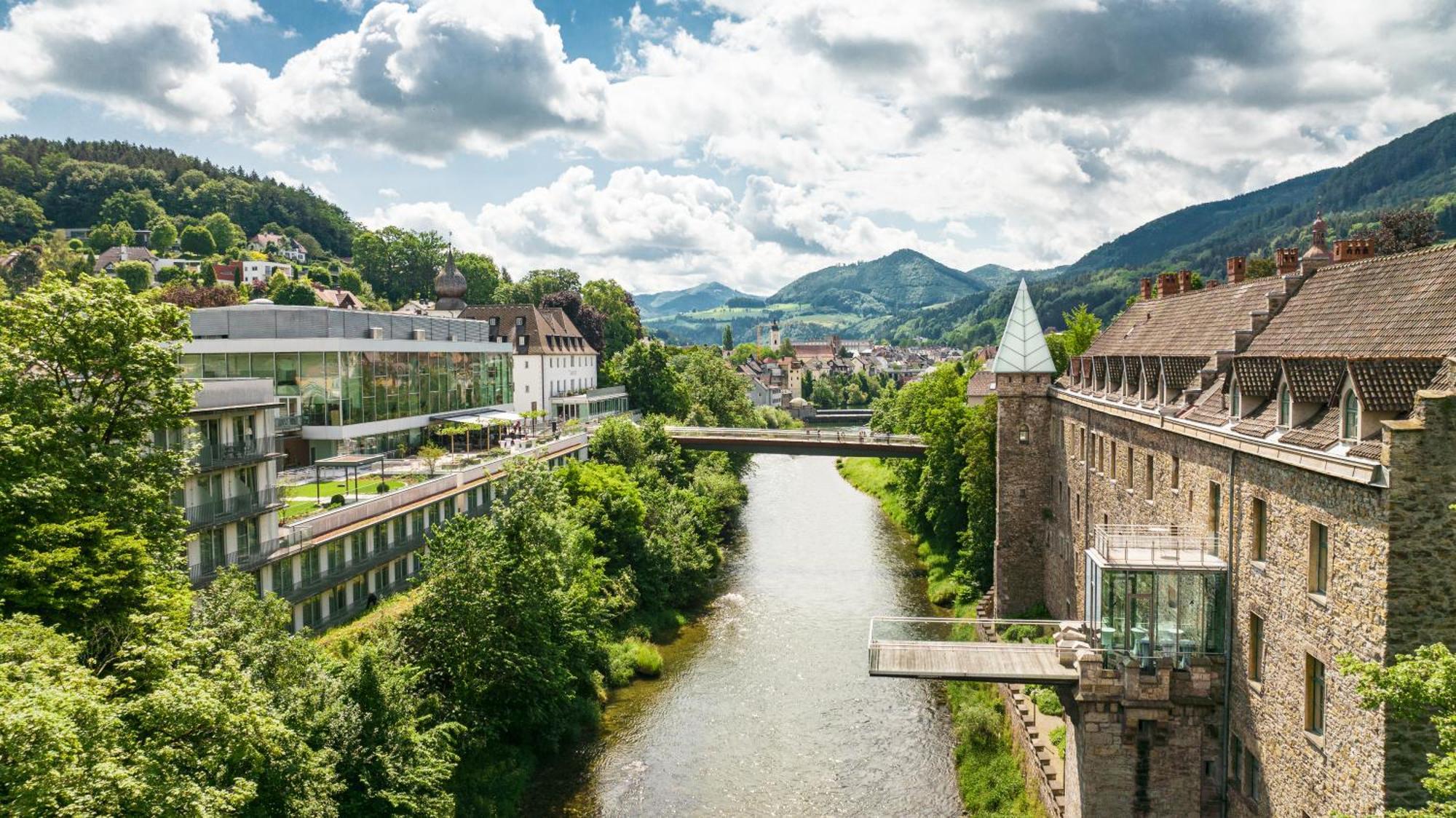 Das Schloss An Der Eisenstrasse Waidhofen an der Ybbs Εξωτερικό φωτογραφία